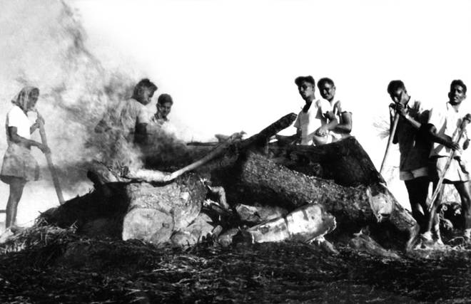 1977 Cyclone death