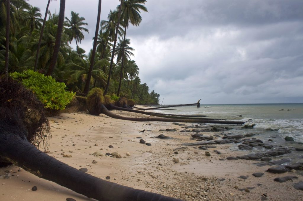 Cyclone HudHud damage